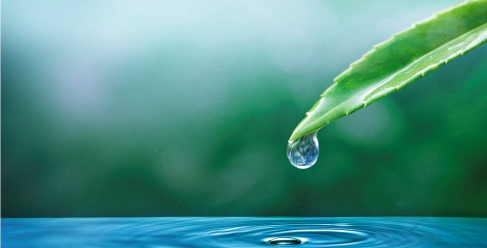 22 marca - Święto Wody