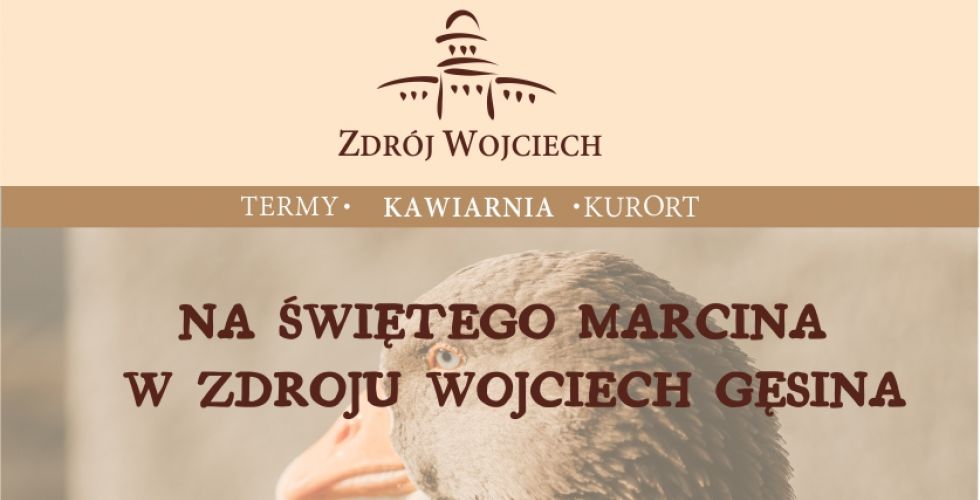 Gęsina w Zdroju Wojciech